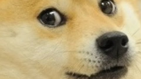 DOOUJIIEEE Blob Wars