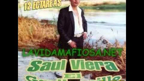 Saul Viera El Gavilancillo]   Oscar Cosio
