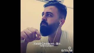 Harika Şiir Yaralı Ceylan