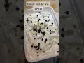 Home Made Ice Cream ЁЯдд ЁЯШЛ Icecream Cake Sweetcupcake Musicanddance 2025 Cupcake Home Made Ice Cream ЁЯдд ЁЯШЛ Icecream Cake Sweetcupcake Musicanddance 2025 Cupcake