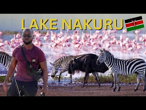 LAKE NAKURU: The MOST BEAUTIFUL National Park in Kenya