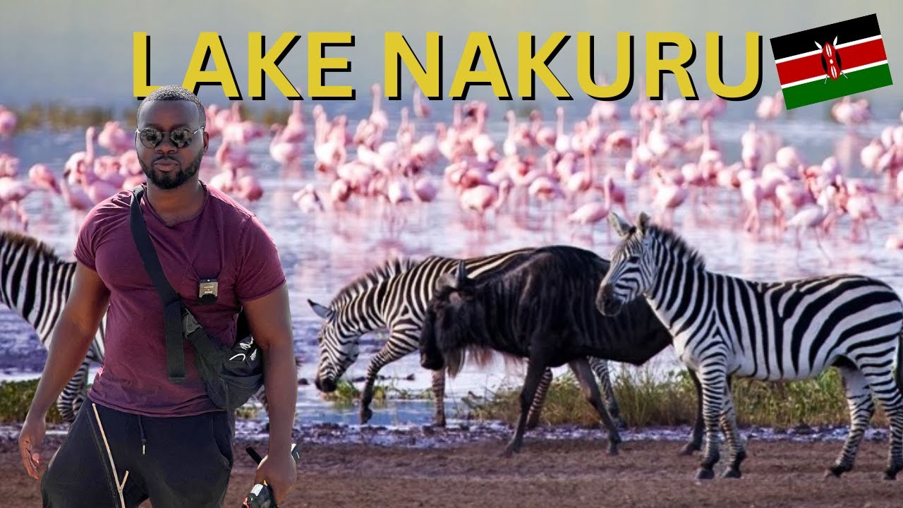 ОЗЕРО НАКУРУ: САМЫЙ КРАСИВЫЙ НАЦИОНАЛЬНЫЙ ПАРК КЕНИИ