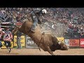 Bulls that have wrecked the most riders top 3 buckoff streaks right now  2019