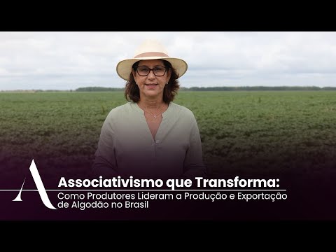 Associativismo que Transforma: Como Produtores Lideram a Produção e Exportação de Algodão no Brasil