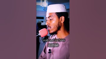 تلاوة مميزة من سورة الإسراء/القارئ عفيف محمد تاج