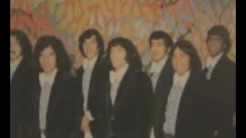 capullo de rosa blanca (renacimiento 74)