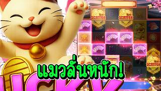 กูว่าแล้วมันต้องโดน เฮียริช สวิตเซอร์แลนด์ ➤ แมวลั่นหนักมาก !!