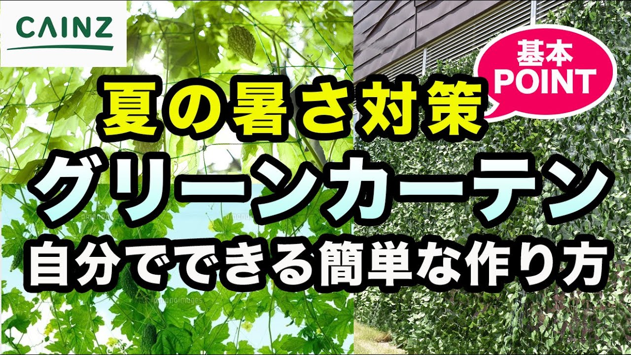 グリーンカーテンの作り方 初心者でも安心 日除けになる緑のカーテンを作ろう 暑さ対策 カインズhowto Youtube