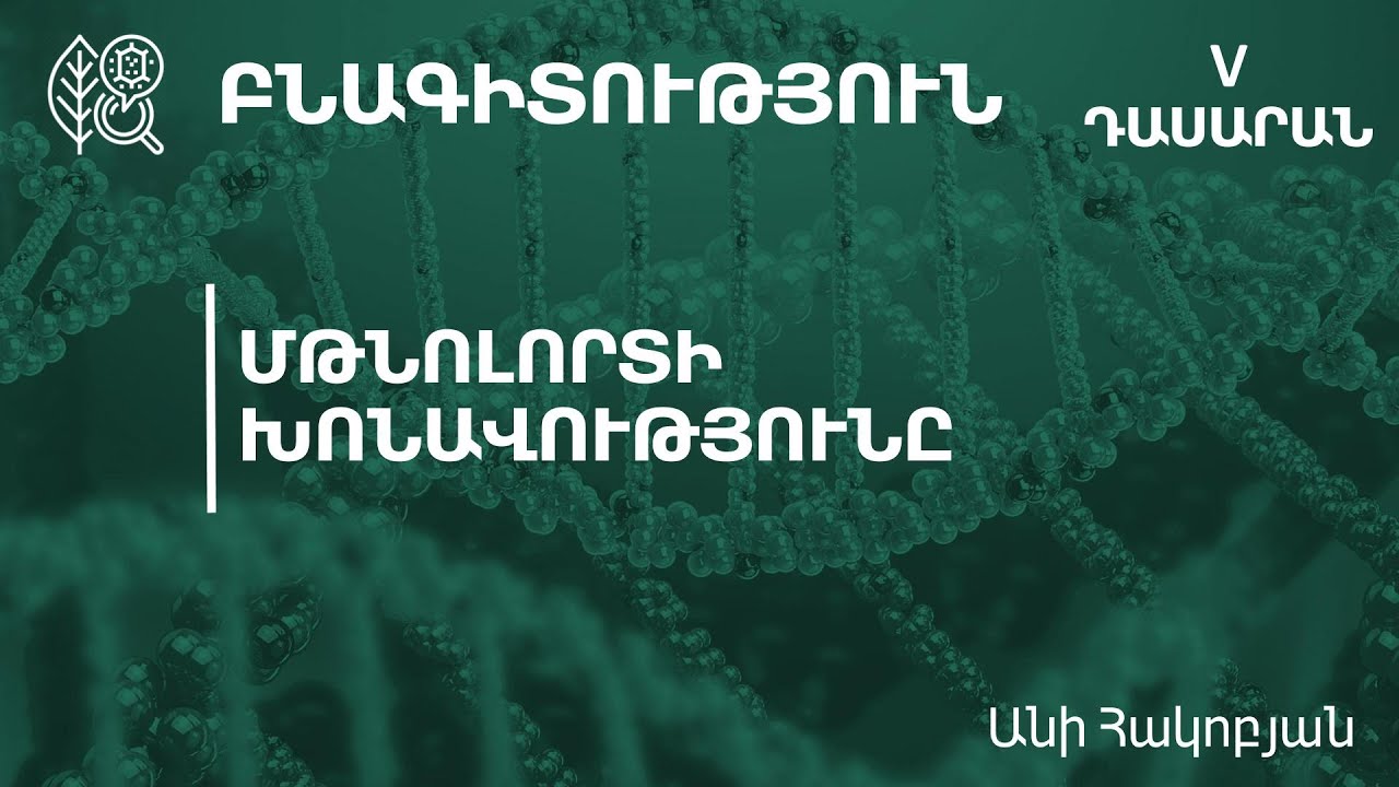 Մթնոլորտի խոնավությունը. 5-րդ դասարան