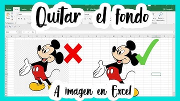 CÓMO QUITAR EL FONDO A UNA IMAGEN EN EXCEL ¡FÁCIL Y RÁPIDO! 🎨🎨🎨.