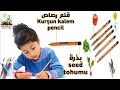 قلم البذرة فكرة رائعة _ SEED PENCILS _ How To Plant Your Sprout Pencil