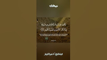 تلاوة قديمة 🕊 سورة لقمان 🕊 لفضيلة الشيخ أ.د سعود بن إبراهيم الشريم