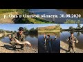 OmskSpin #83. Нашли яму с щукой на малой реке в Омской области. Осенний жор щуки 2020.