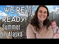 Summer in alaska qa