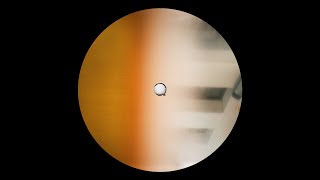 Vlad Bretan - Verbis Fin