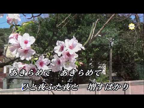 葉桜の恋  (RA)   ♫オリジナル歌手:背味孝太郎   ♪カバ-アメキリ歌詞付き