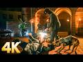 Big Mistake Threatening Sofia’s Dog | John Wick: Chapter 3 – Parabellum | CLIP ⚡ 4K