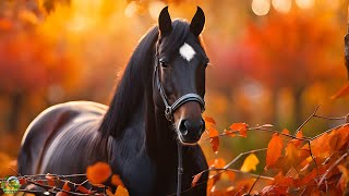 видео: Осенняя грусть — Осенняя любовь! Очень Красивая Мощная Музыка для души #music картинка: Осенняя грусть — Осенняя любовь! Очень Красивая Мощная Музыка для души #music