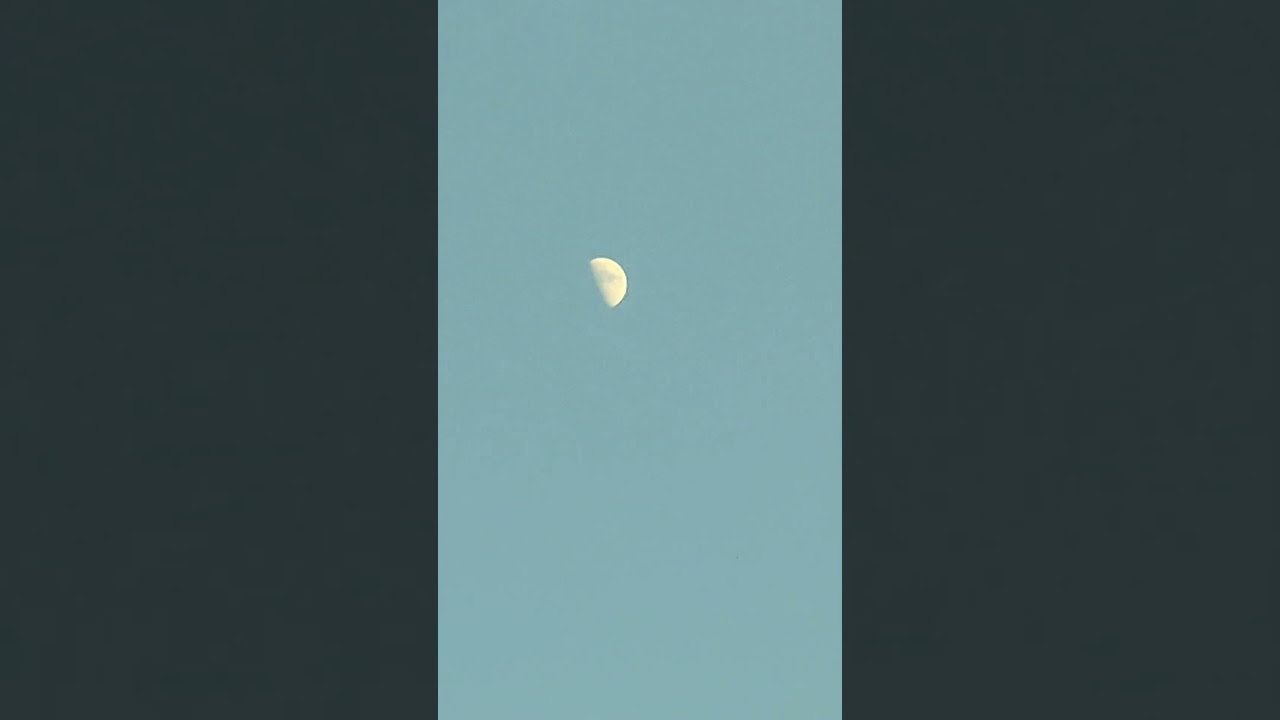 only this BGM #song #shortvideo