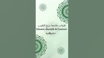 تلاوة خاشعة من سورة الزمر 🤍 | آيات تُبكِي القلوب وتذكّرك برحمة الله ومغفرته