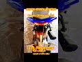 CB Hornet 125 দেখা মিলতে পারে খুব শীঘ্রই।Throttle Tales #bike #roadtrip #shorts#shortvideo#bikelover
