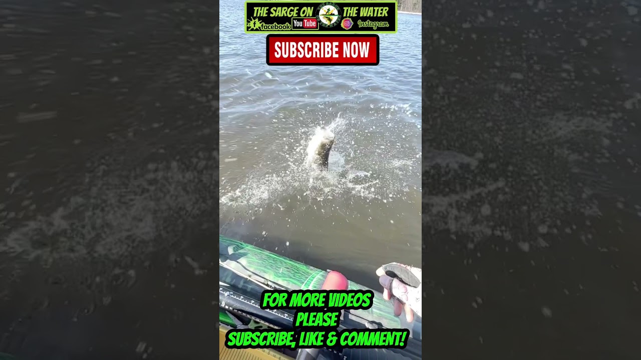 Epic Slow Motion 😮 