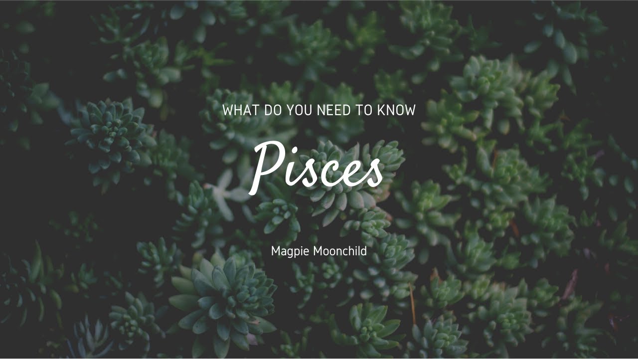 Pisces There is Hurt Here What You Need To Know YouTube