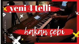 Roland Fantom 7 dört telli elektro bağlama 04 Resimi