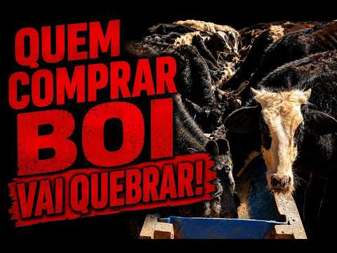 QUEM COMPRAR BOI VAI QUEBRAR! 16X9