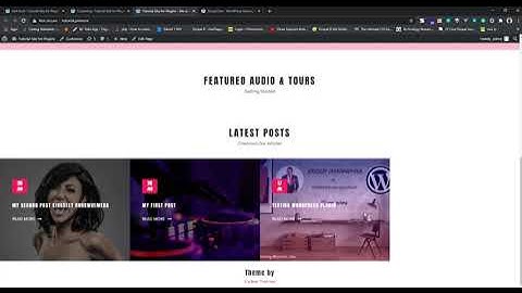 11   WordPress Plugin Development Tutorial: MYSQL AND PHP - WP Theme Customization and Frontend