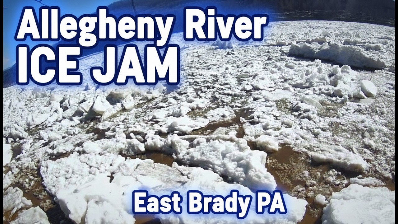 Allegheny River Ice Jam 2026: Rapid Rise & Dramatic Release (Full Day)