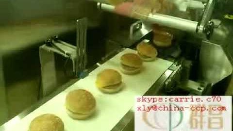 automatic servo motor flow packing machine