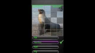 Kids Animal Quiz, Free Android game from Galatic Droids screenshot 5