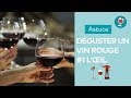 Astuce / Comment déguster un vin rouge ? (Partie 1 oeil)