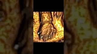 🧐 wowser what's going on 😱 check out the flames