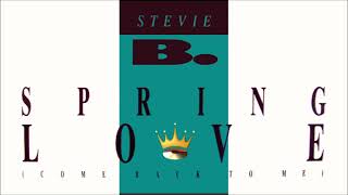 Stevie B. - Spring Love (Come Back To Me) (Club Mix) Resimi