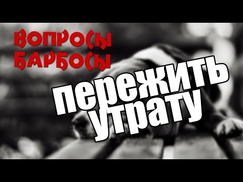 Как пережить утрату собаки