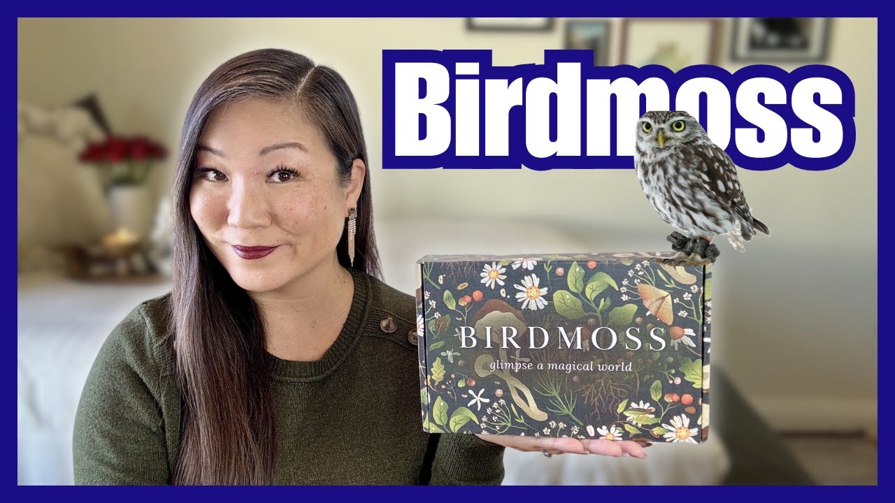Birdmoss | The Library | November 2025