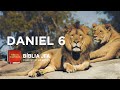 DANIEL 6 - Bíblia JFA Offline