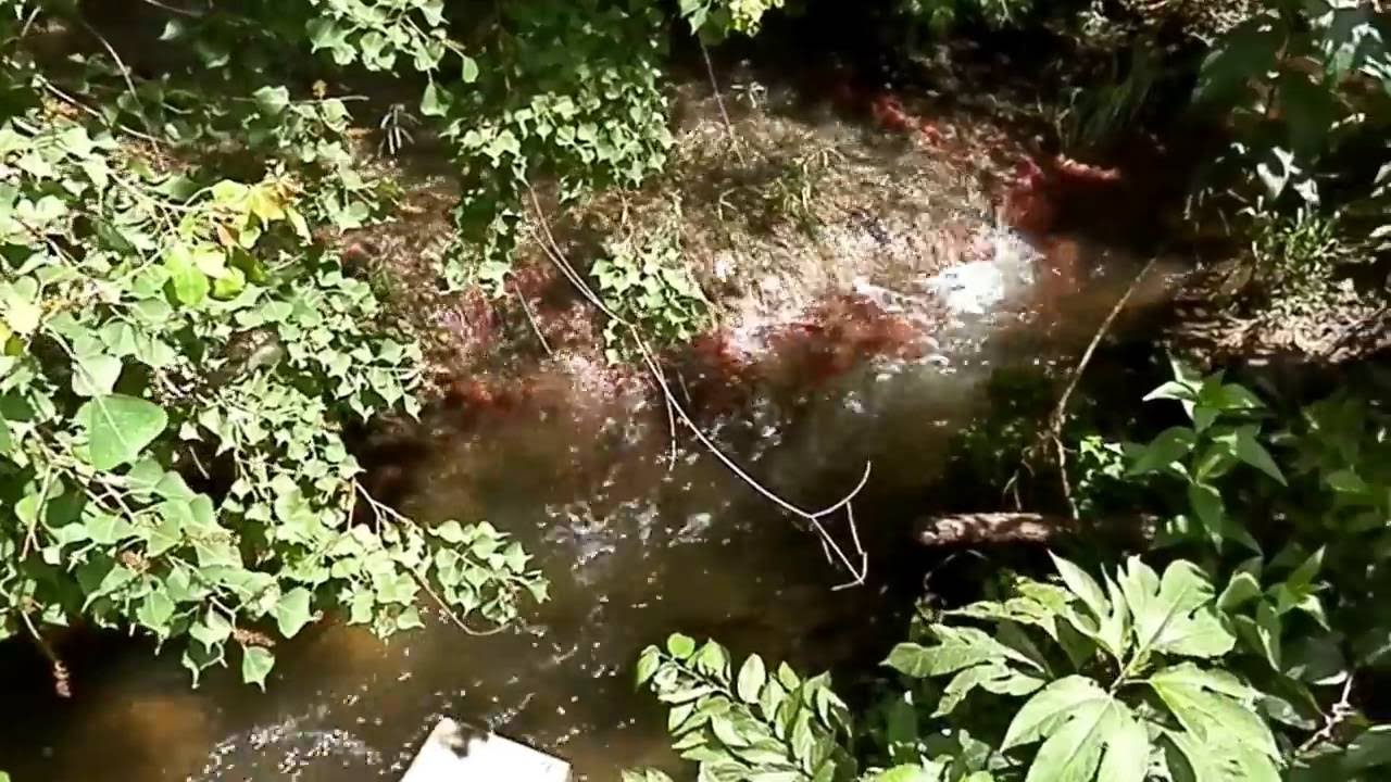 BATTLE OF PLUM CREEKKYLE, TEXAS YouTube