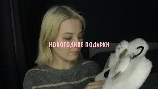 что мне подарили|подарки на новый год