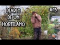 Diario De Un Hortelano #13 - Este INVERNADERO es un DESASTRE || La Huertina De Toni