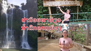 ປານ້ອຍພາທ່ຽວພາກໃຕ້ນໍ້າຕົກຕາດເຍືອງ​ ปาน้อยพาเที่ยวนํ้าตกตาดเยือง