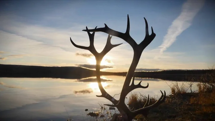 Live to Hunt w/ Cody Robbins - Pocket Full of Tags - Outdoor Channel