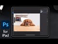 How to remove a background in Photoshop for iPad