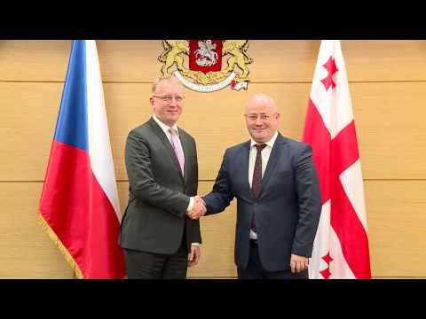 ლევან იზორია ჩეხეთის რესპუბლიკის ელჩს შეხვდა