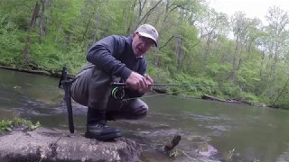 Lightworks Test Video - Gunpowder Falls Fly Fishing