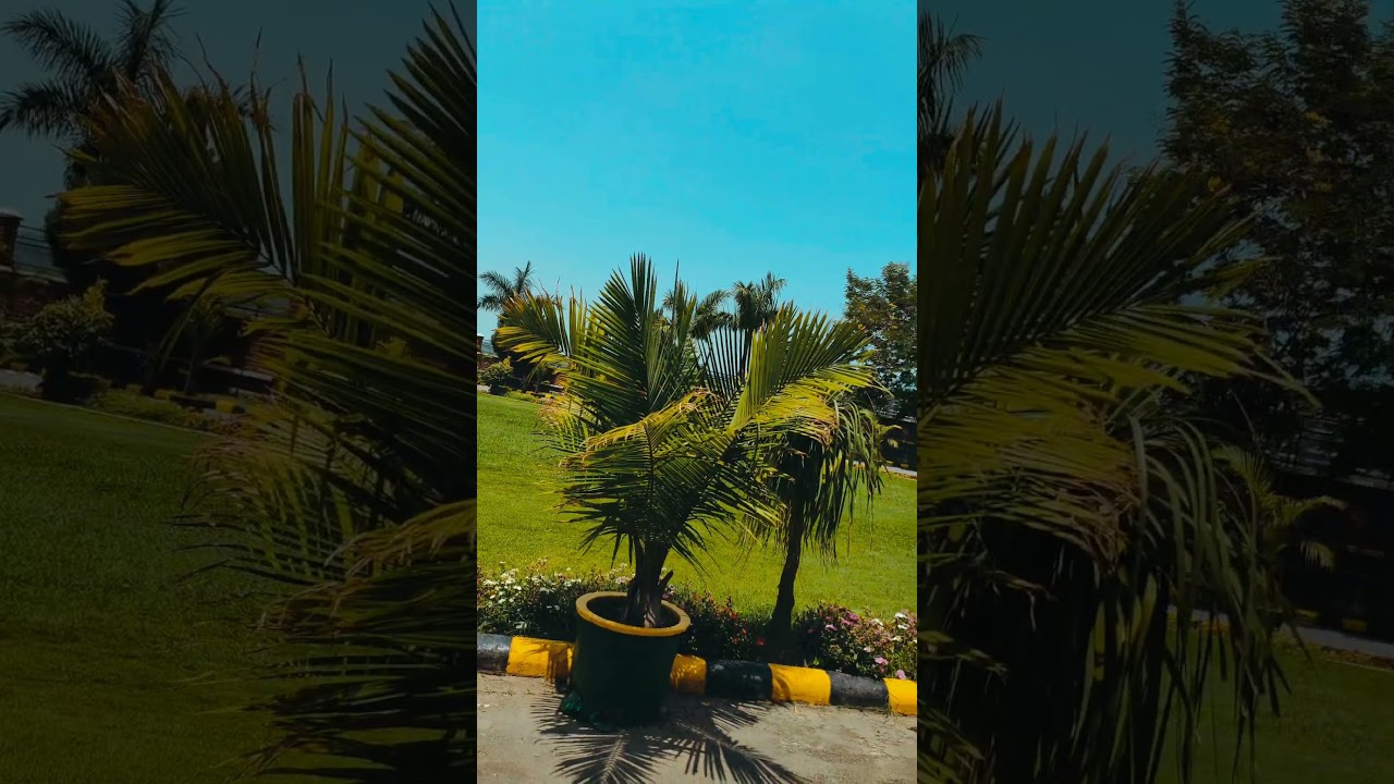 DIT University Dehradun Campus | College View