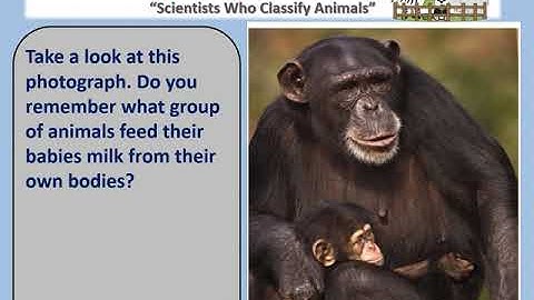 CKLA Grade 3 Unit 2 Lesson 12