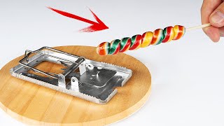 Experiment: Mouse Trap vs Candy